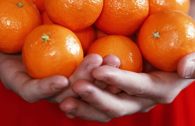 Vad innebr det att vara vegan?