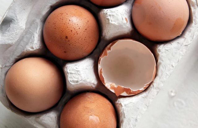 Sanningen om svensk ggindustri