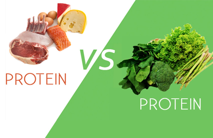 Essentiella Nringsmnen Del 1: Protein