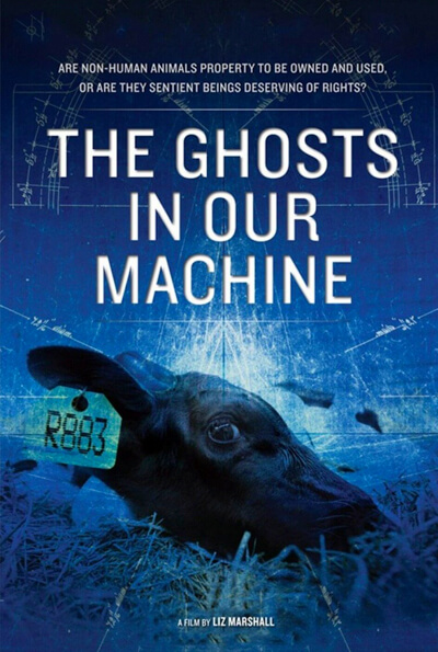 The Ghosts in our Machine